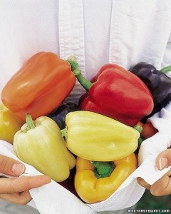 pestovanie-papriky